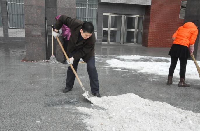 瑞雪披银装，师生扫雪忙