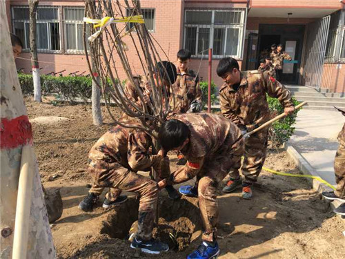 为创建绿色氤氲校园增添一份力