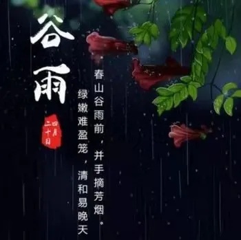 谷雨时节，雨生百谷