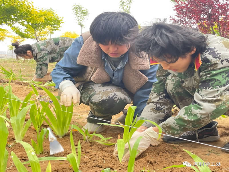 UG环球官方网学管干部全面开展绿化校园劳动教育实践活动