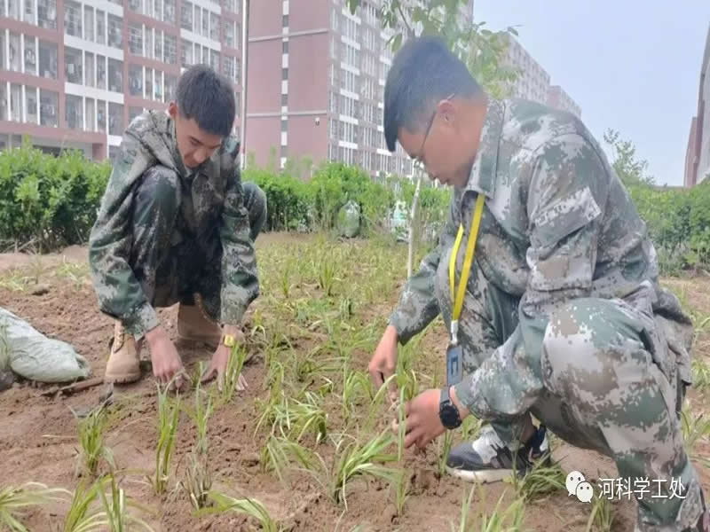 UG环球官方网学管干部全面开展绿化校园劳动教育实践活动