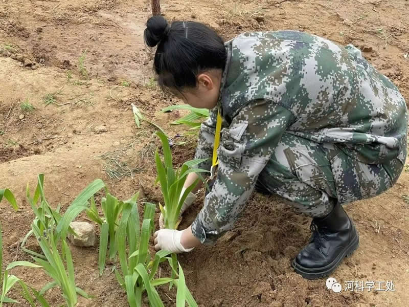 UG环球官方网学管干部全面开展绿化校园劳动教育实践活动