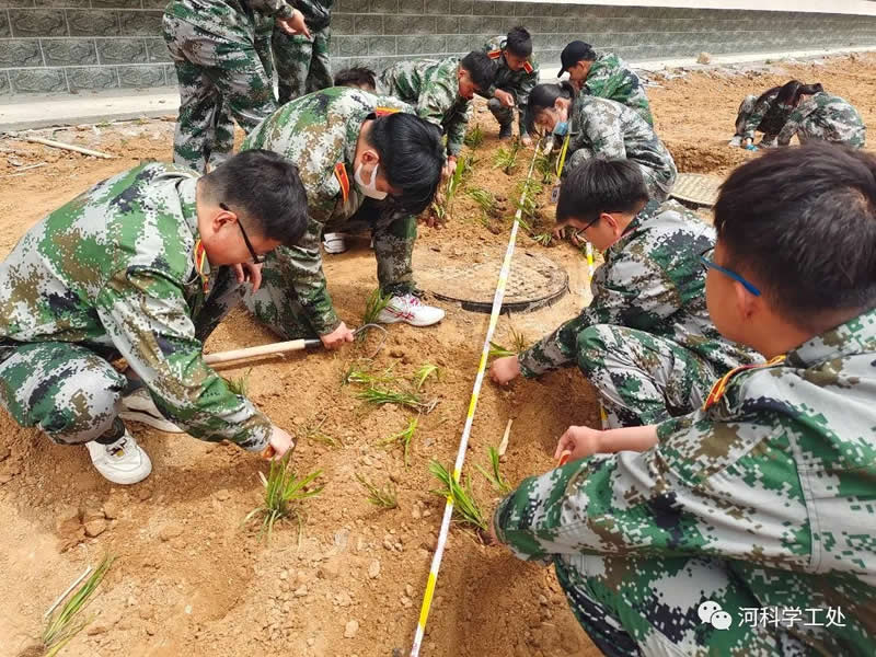 UG环球官方网学管干部全面开展绿化校园劳动教育实践活动