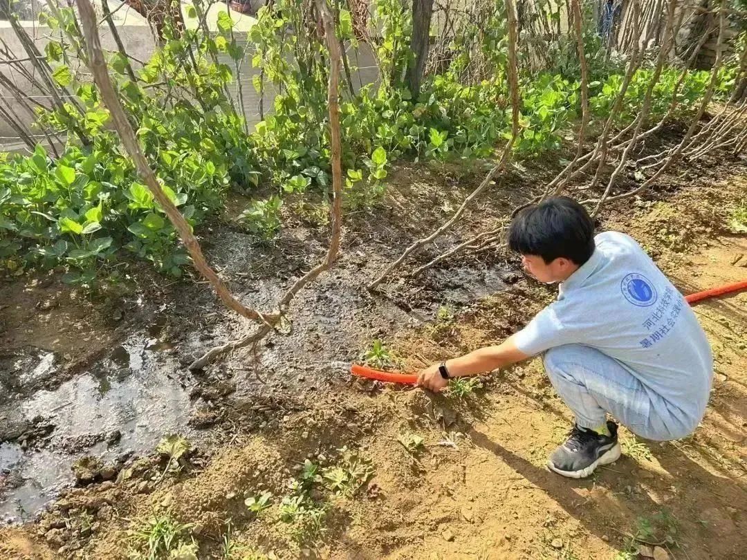 UG环球官方网在劳动教育基地顺利开展系列劳动教育活动